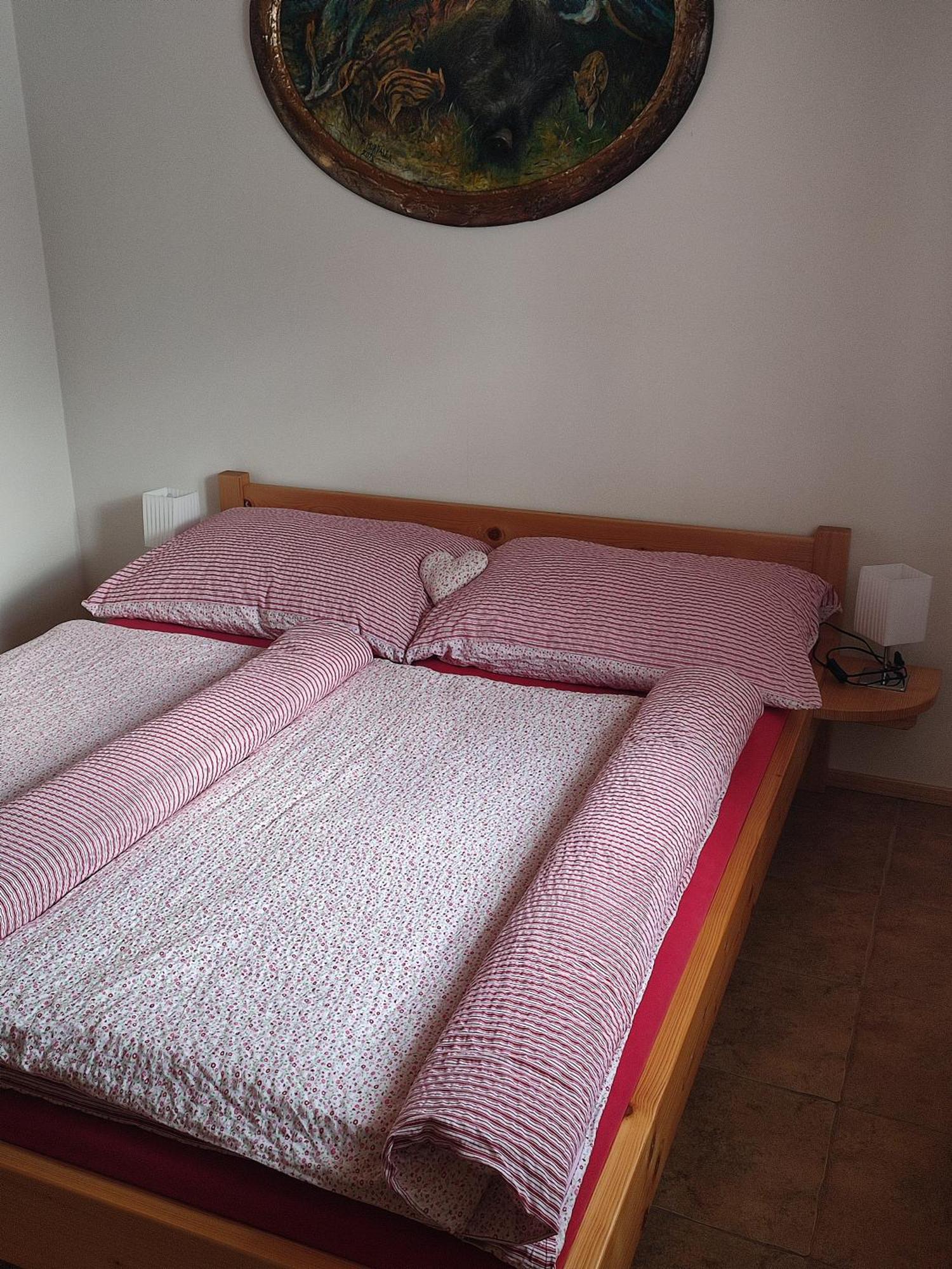 Apartmany Pod Vysakem Stárkov Værelse billede